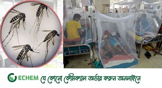 লাফিয়ে বাড়ছে ডেঙ্গুরোগী, মশা নিধনে কাজে আসছে না কোনো পদ্ধতিই
