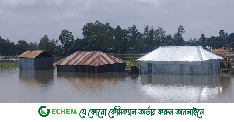 কুড়িগ্রামে বন্যা পরিস্থিতি অপরিবর্তিত, পানিবন্দী ১২ হাজার পরিবার
