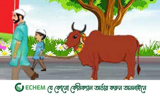 কোরবানির ঈদ: ভিন্ন দেশ, ভিন্ন ভিন্ন নিয়ম