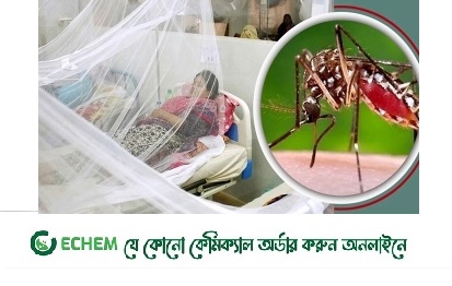 একদিনে ৫০০ ডেঙ্গু রোগী হাসপাতালে
