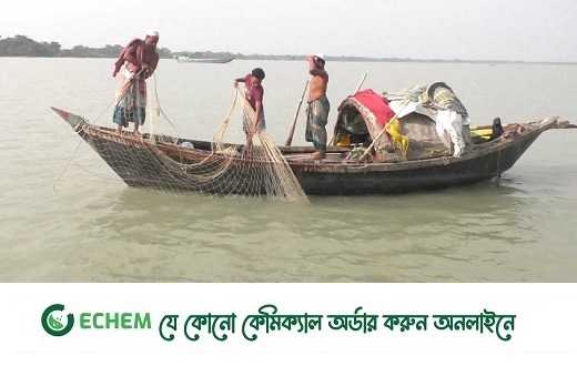 ভরা মৌসুমেও নেই ইলিশের দেখা