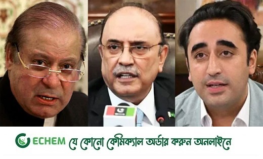 বিলাওয়াল ও জারদারি নওয়াজের সাথে বৈঠক করতে বিশেষ বিমানে আমিরাত