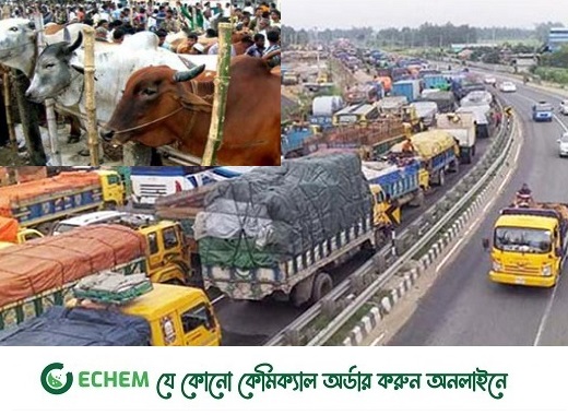 সড়কে পশুর হাট: ঢাকা-টাঙ্গাইল মহাসড়কে ১৩ কিমি যানবাহনের সারি