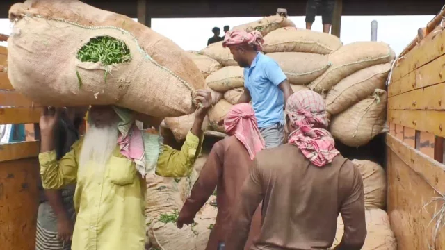 ভারত থেকে এল ৬০ টন কাঁচা মরিচ