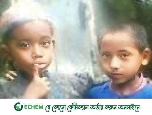 হাতিয়াতে নিখোঁজের দুদিন পর পুকুরে মিলল ২ ভাইয়ের মরদেহ