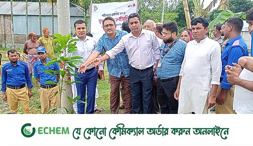হাতীবান্ধায় ইউনাইটেড কমার্শিয়াল ব্যাংকের বৃক্ষরোপণ