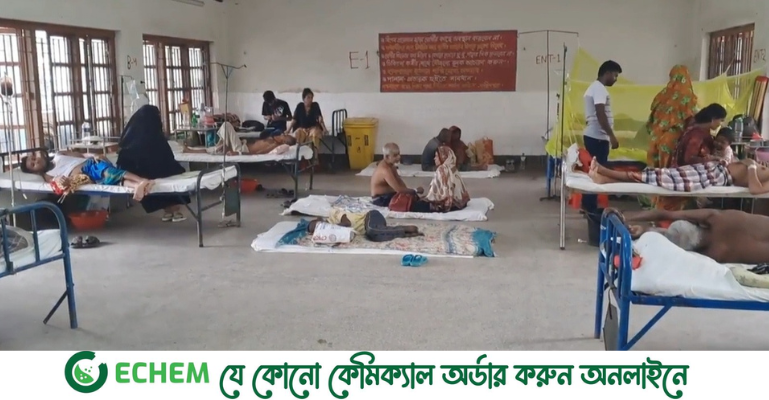 ফরিদপুরে বাড়ছে ডেঙ্গু রোগীর, সচেতনতা বৃদ্ধির তাগিদ জেলা সিভিল সার্জনের