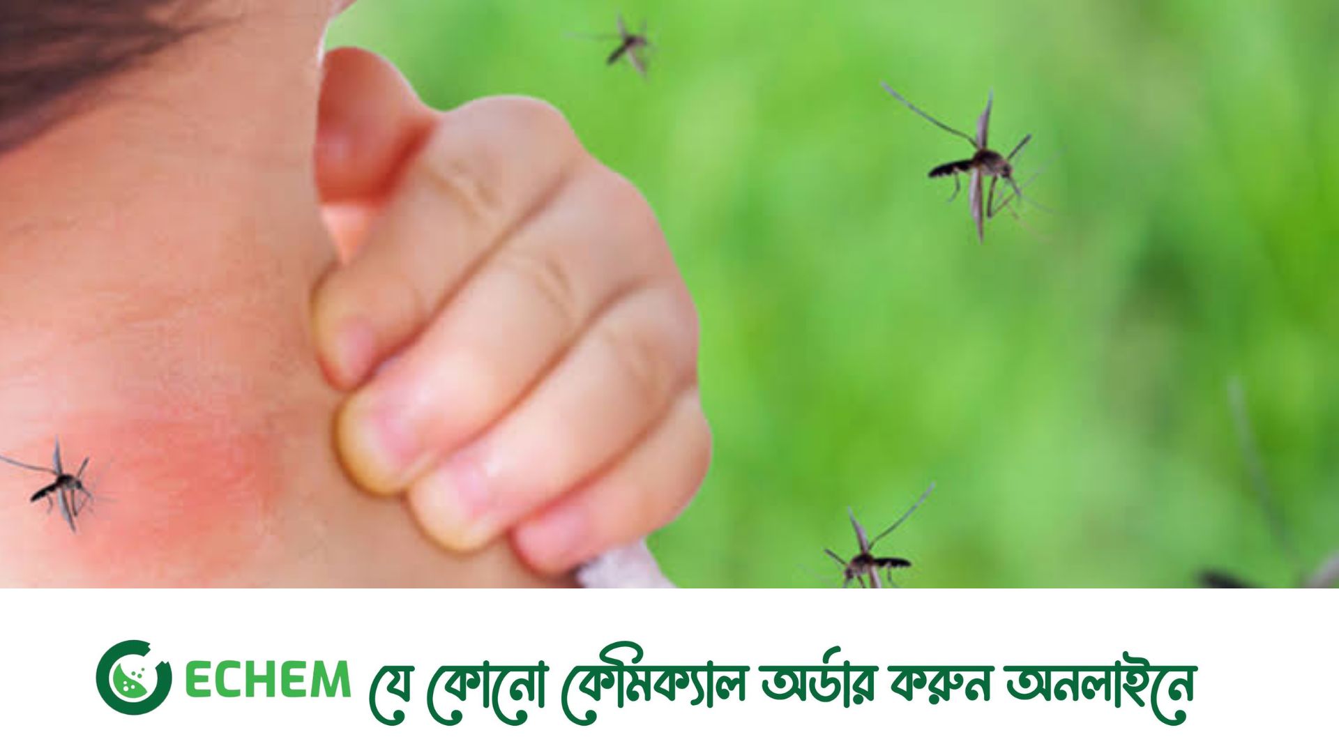 প্রথাগত ডেঙ্গু উপসর্গ না থাকায় এবার রোগী বেশি মারা যাচ্ছে