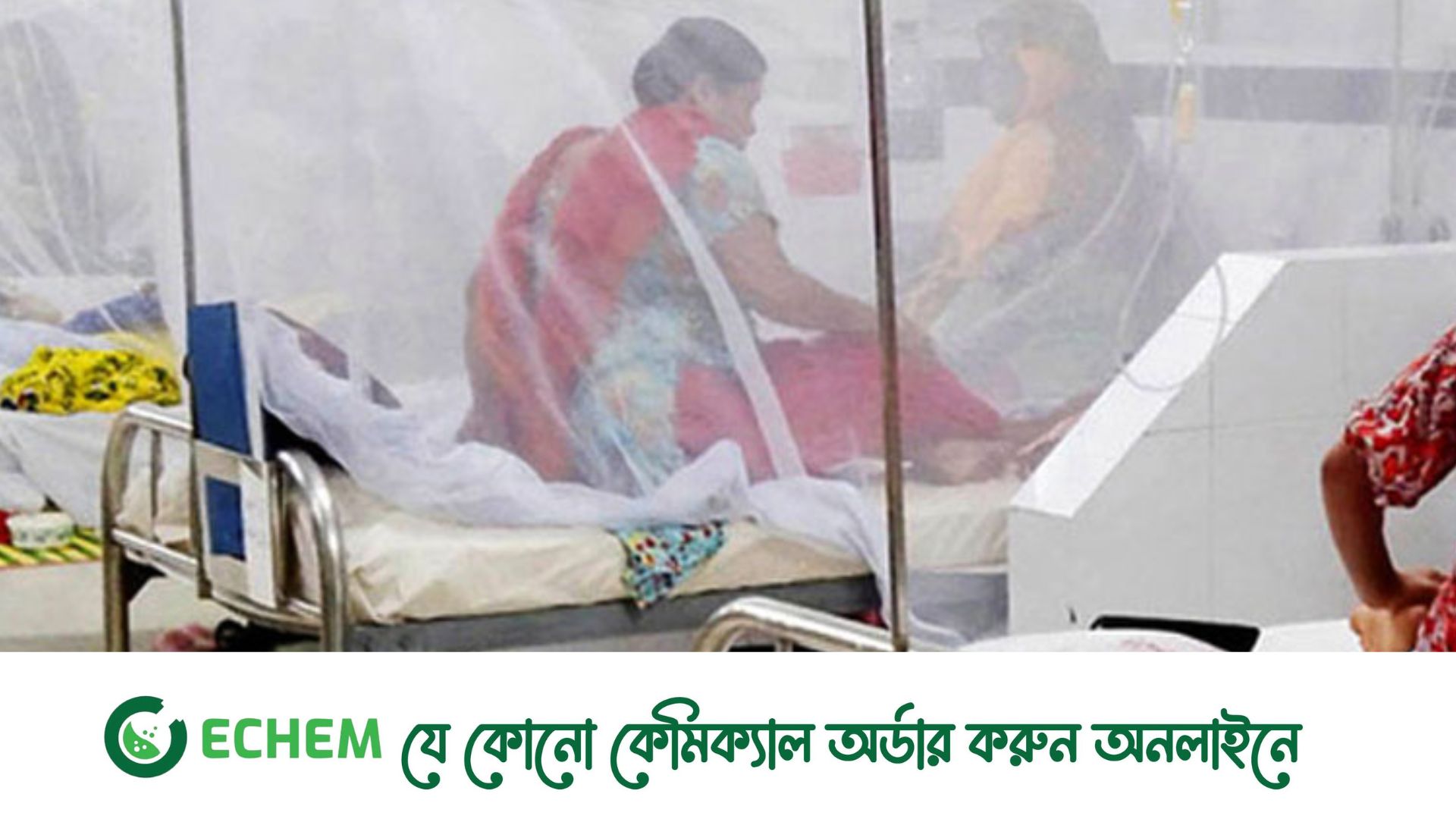 ডেঙ্গুতে ১১ জনের মৃত্যু, হাসপাতালে ভর্তি ২২৪২