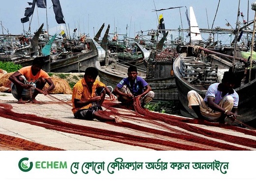 জেলেদের মধ্যে উৎসবের আমেজ, রাতে উঠছে নিষেধাজ্ঞা