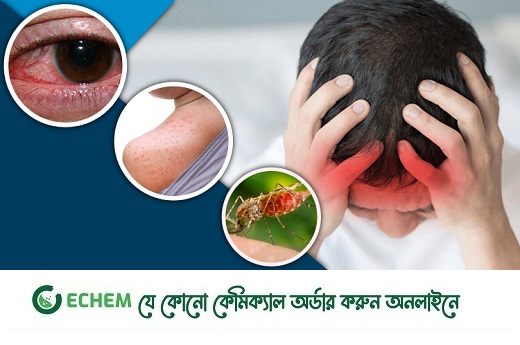 শুধু ডেঙ্গু নয়, মশাবাহিত আরো ৭ রোগ থেকে সাবধান