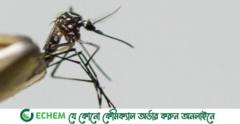 ডেঙ্গুতে রেকর্ড ২২৯২ জন হাসপাতালে