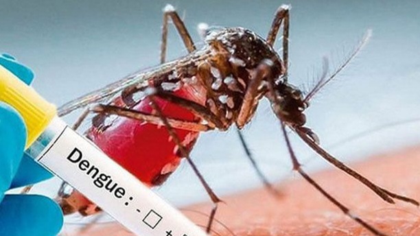 ঢাকার ১১টি এলাকা থেকে ডেঙ্গু রোগী বেশি আসছেন