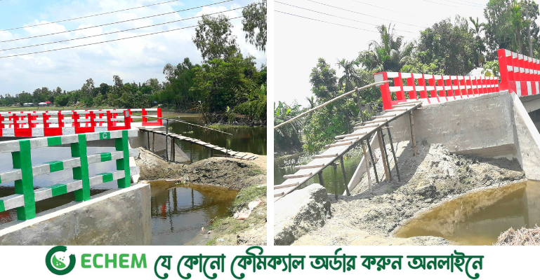 রাস্তা পারাপারে চকচকে দুটি সেতুতে উঠতে লাগে মই, ভোগান্তিতে এলাকাবাসী