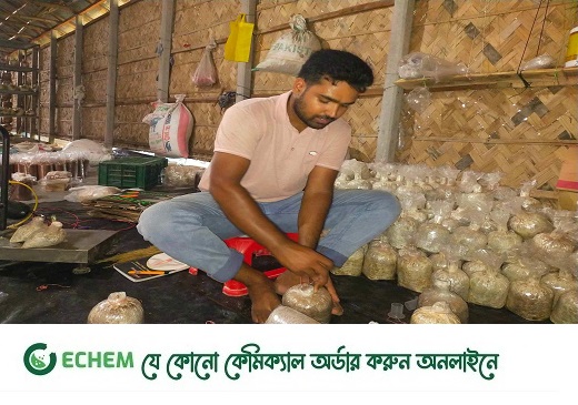 কঠোর পরিশ্রম ও অদম্য ইচ্ছায় সাগর আজ সফল মাশরুম চাষি