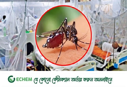 ডেঙ্গুতে মৃত্যু ১০, একদিনে ২২০২ রোগী ভর্তি