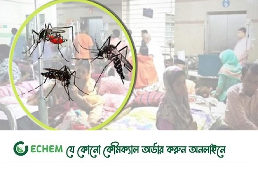ডেঙ্গুতে ২৪ ঘণ্টায় মৃত্যু ১০, ঢাকায় শিশু আক্রান্তের হার বেশি