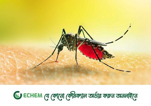 ডেঙ্গু: ২০৪০'র মধ্যে বিশ্বের জনসংখ্যার অর্ধের বেশিকে প্রভাবিত করবে