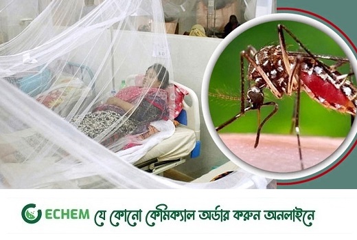 ডেঙ্গুর 'পিক সিজন' হতে পারে আগস্ট