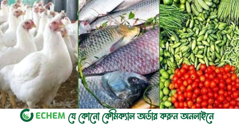 ব্রয়লারের ডাবল সেঞ্চুরি, স্বস্তি ফিরেছে সবজিতে