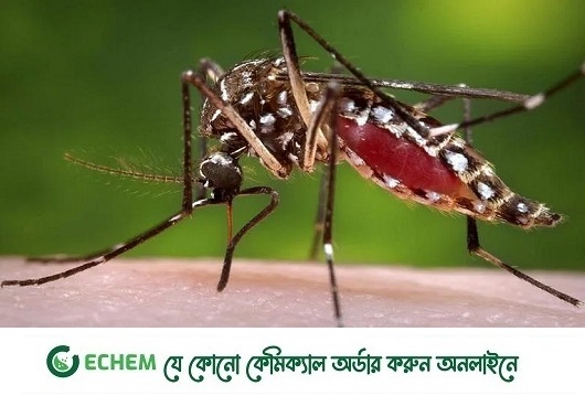 ফরিদপুরে ডেঙ্গুতে মৃত্যু ১, হাসপাতালে ২৫৫ জন