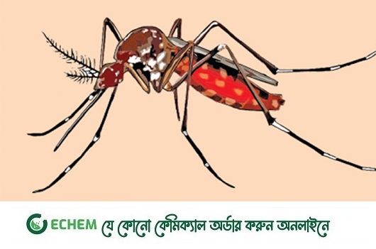 ডেঙ্গুর সেকেন্ডারি ফর্ম: এতে বাড়ছে মৃত্যুঝুঁকি