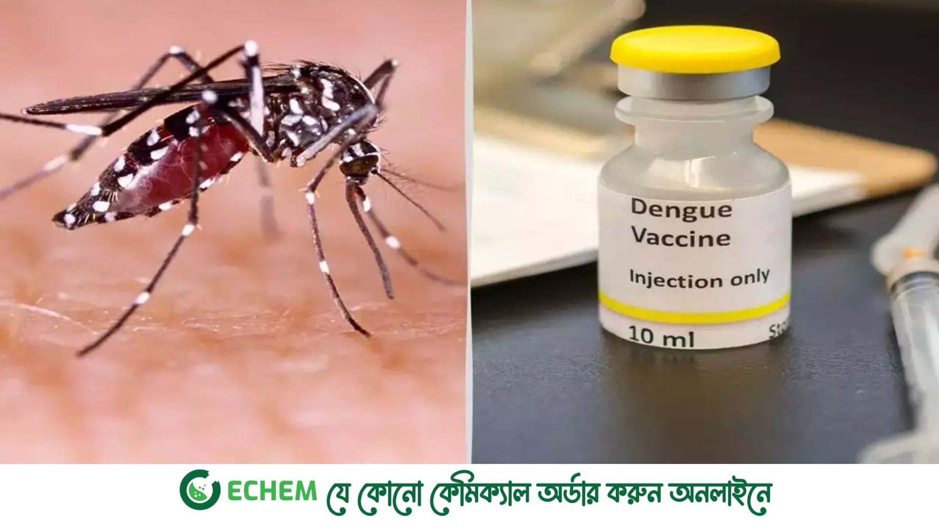 ডেঙ্গুর ভ্যাকসিন তৈরির উদ্যোগ নিচ্ছে বিএসএমএমইউ