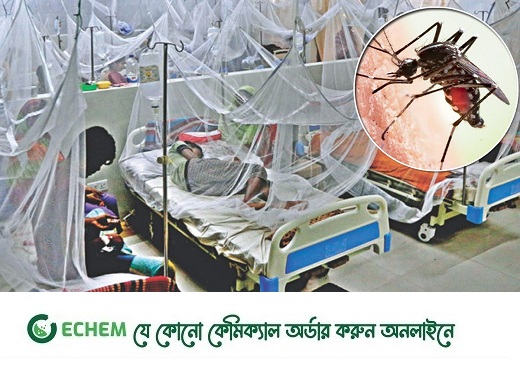 দেশে ডেঙ্গুতে মৃত্যু ৩০০ ছাড়াল
