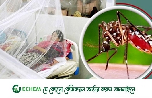 ডেঙ্গুতে মৃত্যু ১৩, হাসপাতালে ভর্তি ২৭৪২