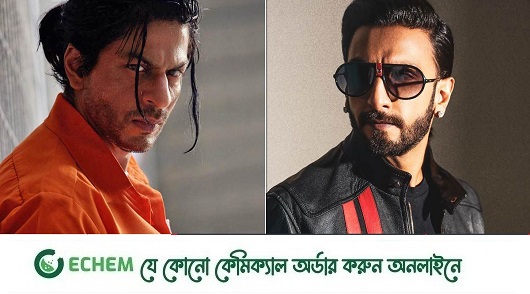 ‘নো শাহরুখ, নো ডন’