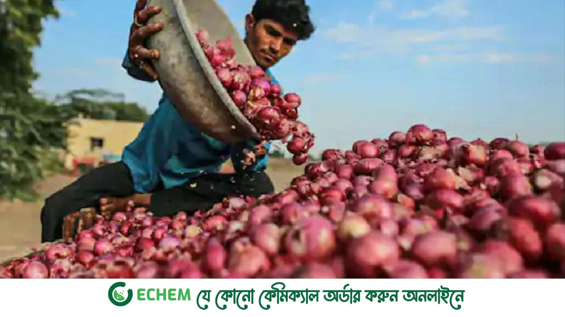 ভারত ৪০% শুল্ক আরোপ করল পেঁয়াজ রপ্তানির ওপর