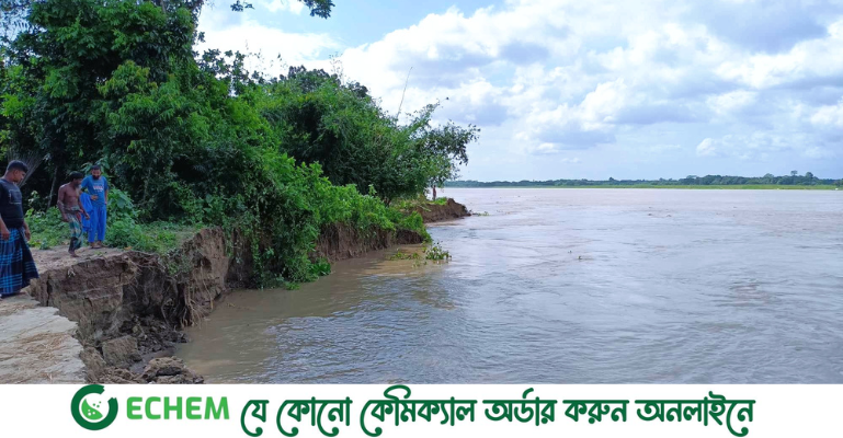 মধুমতীতে বাড়ছে ভাঙন, আতঙ্কে তিনশ পরিবার