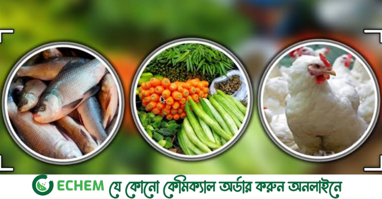 মাংসের দাম চড়া, সুখবর নেই মাছের বাজারেও