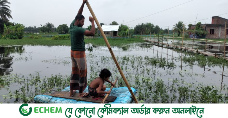 সাতক্ষীরা শহরের নিম্নাঞ্চলে পানিবন্দি মানুষের দূর্ভোগ চরমে