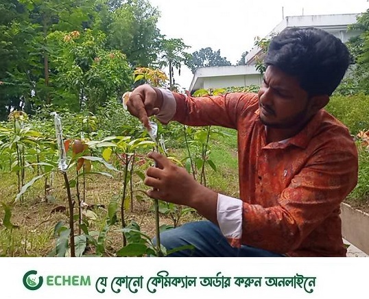 প্রজেক্ট ১৭৫: সবুজ ক্যাম্পাস বাঁচাতে সজীবের সংগ্রাম