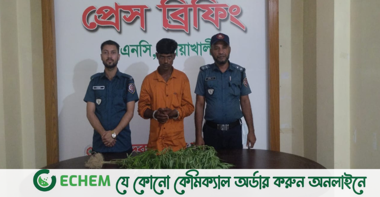 নোয়াখালীতে বাড়ির ছাদে গাঁজা চাষ, কেয়ারটেকার গ্রেফতার