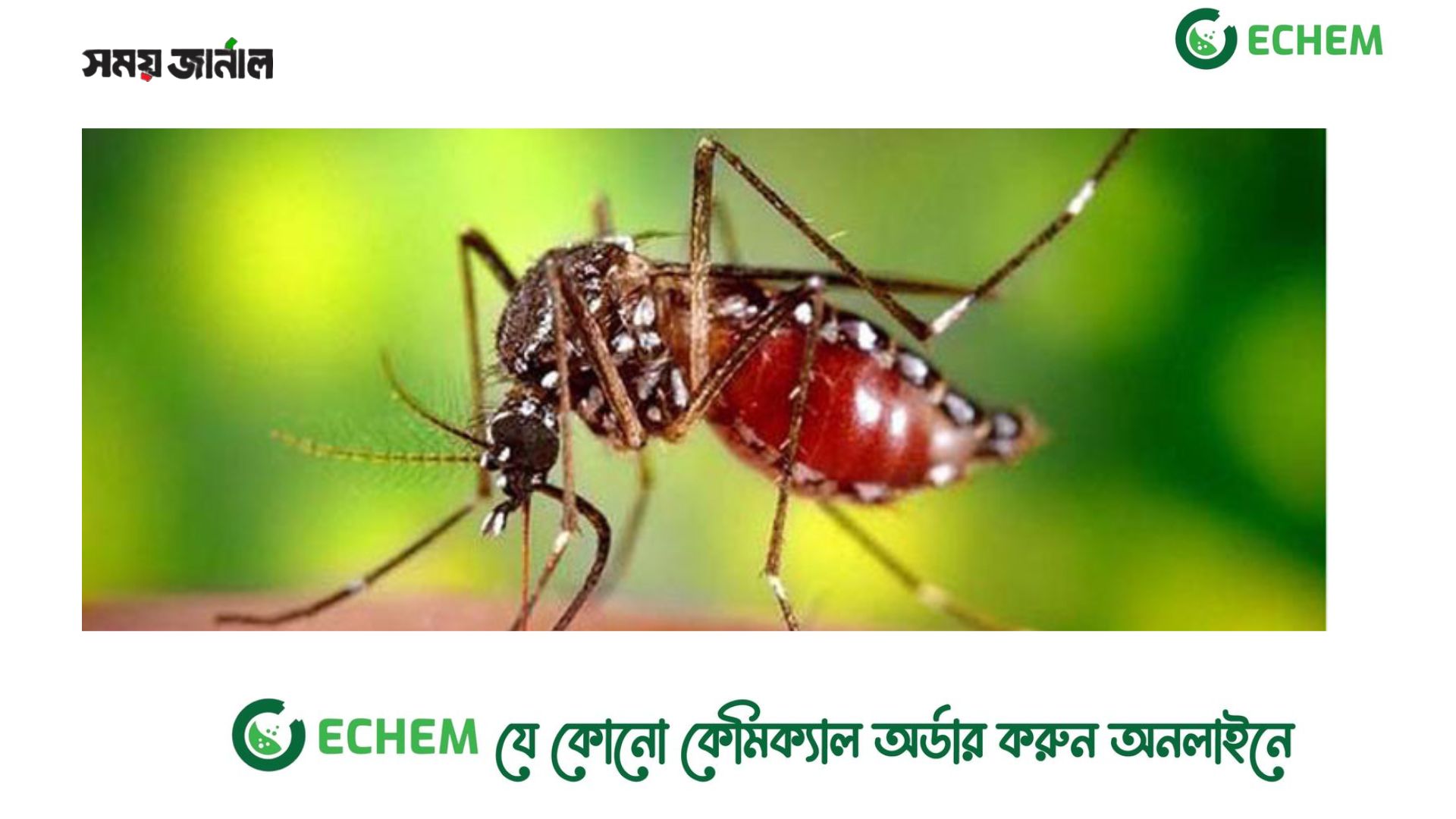 ডেঙ্গুতে আরও প্রাণ গেলো ১১, হাসপাতালে ২৭৮২