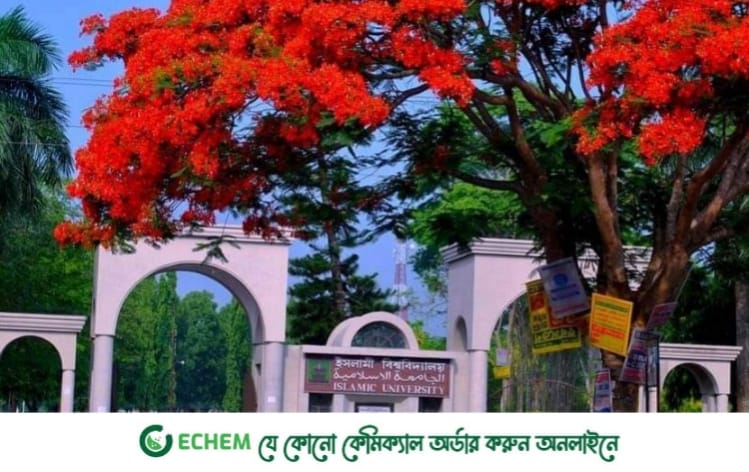 ইবিতে নবীন শিক্ষার্থীকে র‍্যাগিং, রেজিস্ট্রারকে পরিবারের অভিযোগ