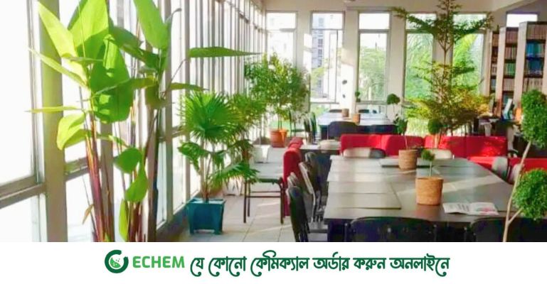বিভিন্ন গাছপালায় সজ্জিত ডিআইইউ লাইব্রেরি