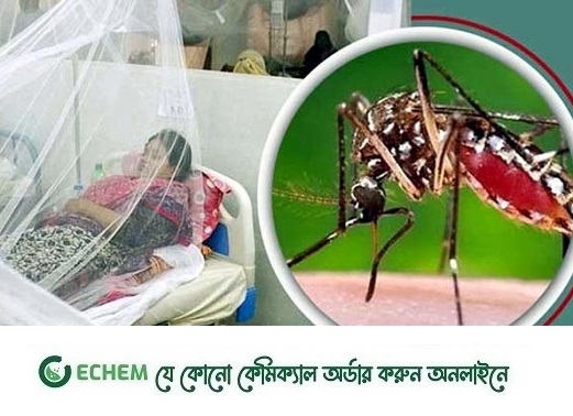 ফরিদপুরে ডেঙ্গুতে তিন নারীর মৃত্যু