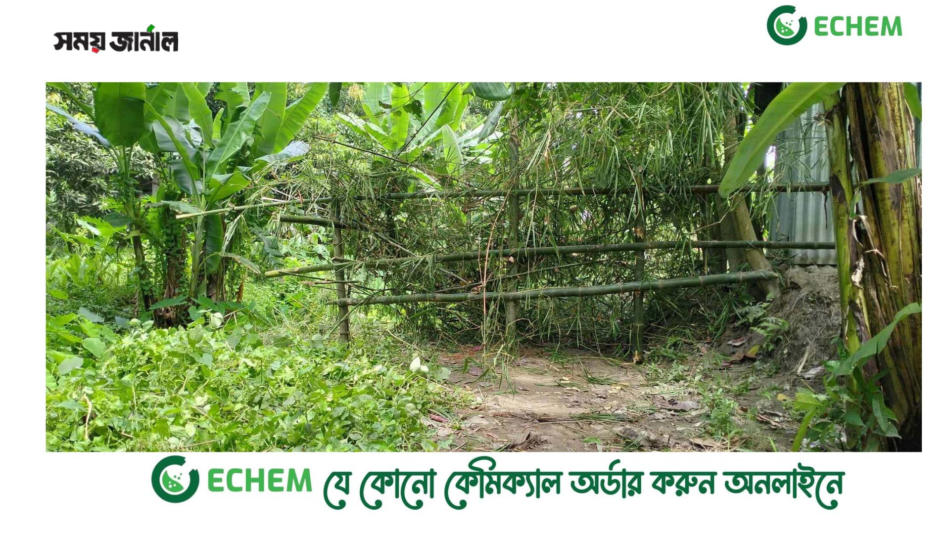 বাঁশের বেড়ায় মুক্তিযোদ্ধাসহ বন্দি অর্ধশত পরিবার