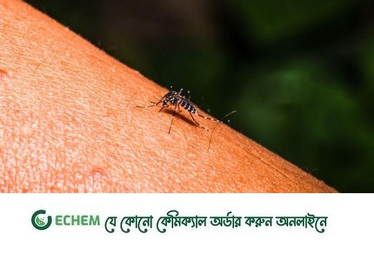 পশ্চিমবঙ্গে ডেঙ্গু সংক্রমণ, সব জেলায় সতর্কতা