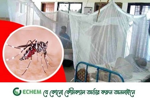 ডেঙ্গুতে আরও ১৫ মৃত্যু, হাসপাতালে ভর্তিতে রেকর্ড