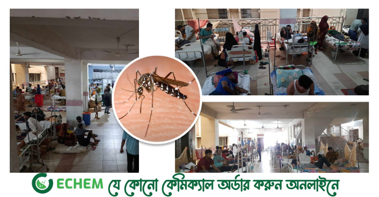 সেপ্টেম্বরেও ডেঙ্গুতে মৃত্যু ও আক্রান্তের রেকর্ড