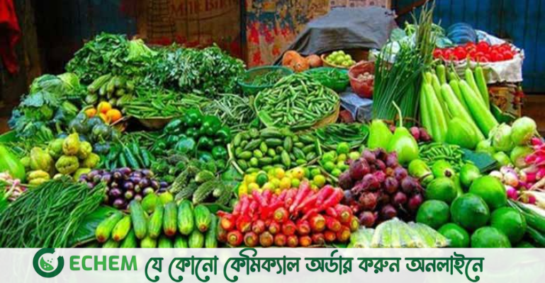 বাড়ছে কাঁচামরিচের দাম, বৃষ্টির প্রভাব বাজারে