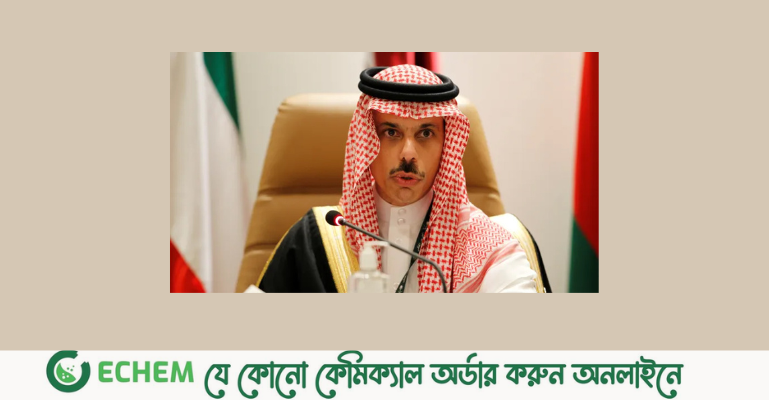 ফিলিস্তিনিদের পক্ষে পশ্চিমাদের কঠোর বার্তা দিল সৌদি আরব