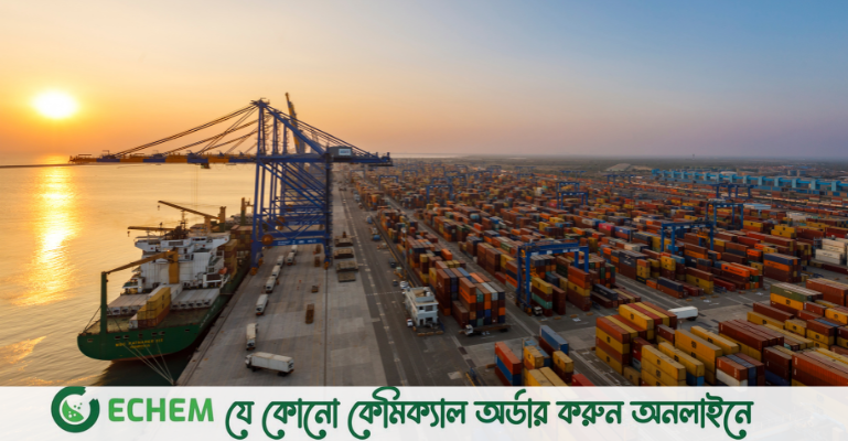 ২৫ বছর পূর্তি উদযাপন করলো আদানির মুন্দ্রা বন্দর