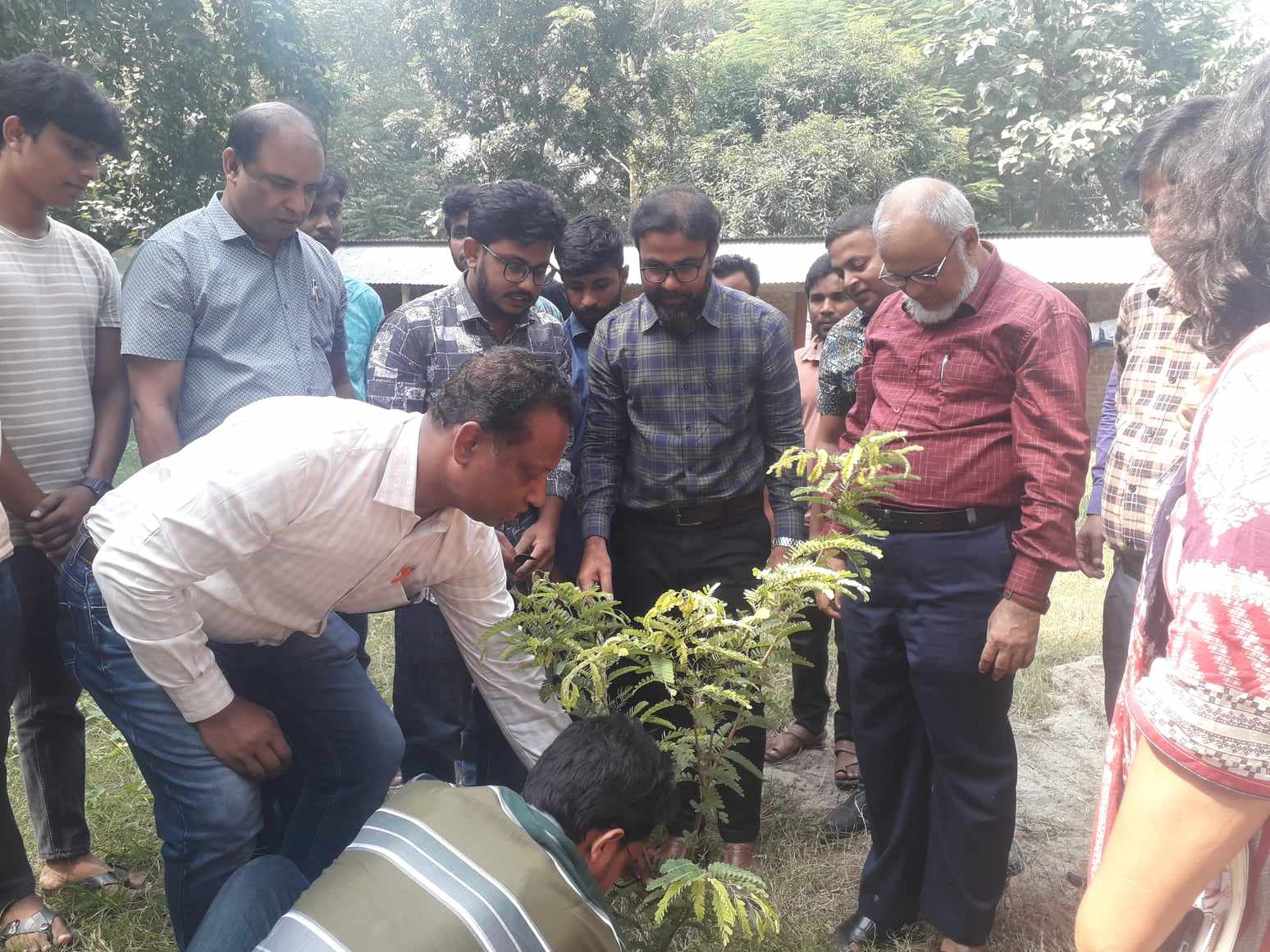 ইবি ক্যাম্পাস সবুজায়নে ‘প্রজেক্ট ১৭৫’