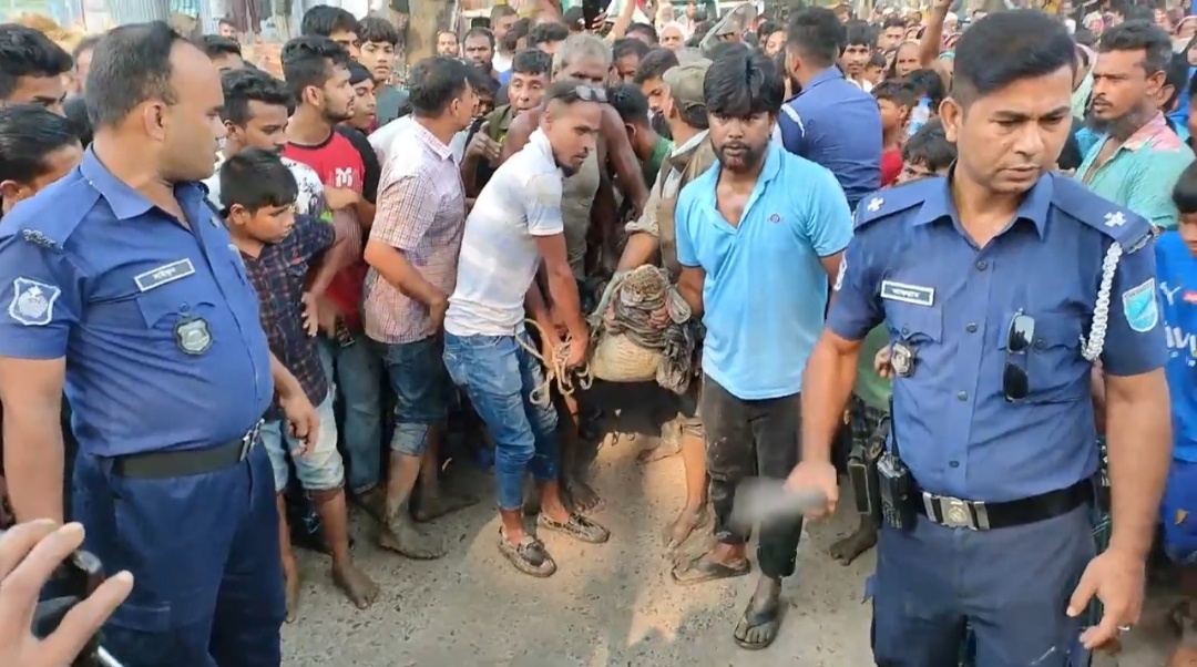 ফরিদপুরের ভুবনেশ্বর নদ থেকে কুমির উদ্ধার