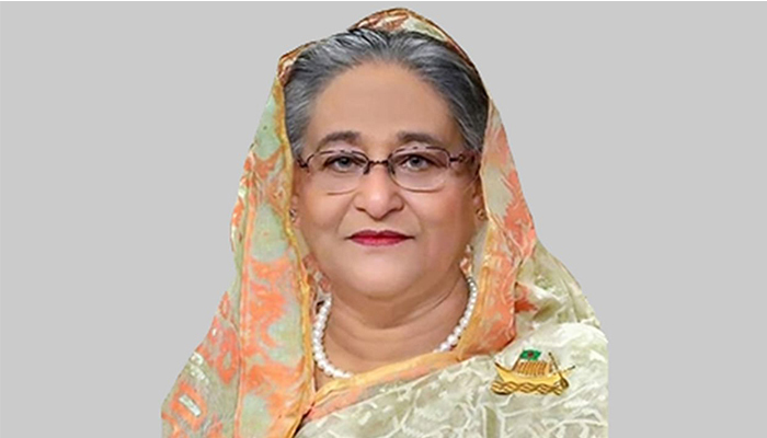 দেশে ফিরলেন প্রধানমন্ত্রী